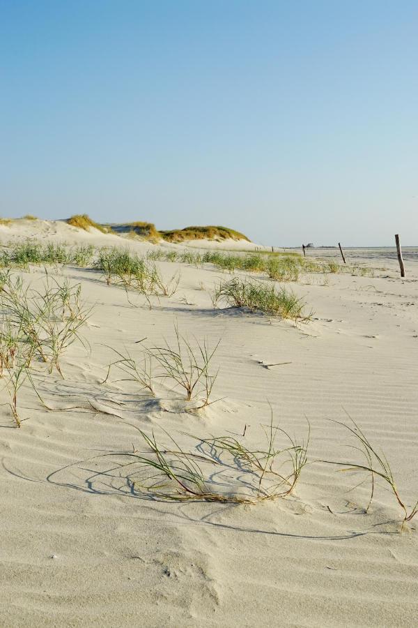 Moderne Kuestenbutze In Nordseenaehe Mildstedt Exteriér fotografie